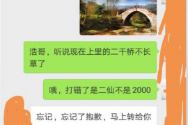 楚雄为什么选择专业追讨公司来处理您的债务纠纷？